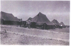 Dust-bowl-Tent-city-1945